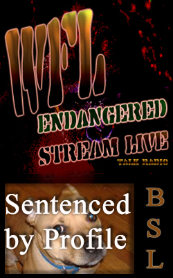 Sentenced by Profile BNR